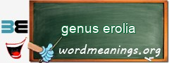WordMeaning blackboard for genus erolia